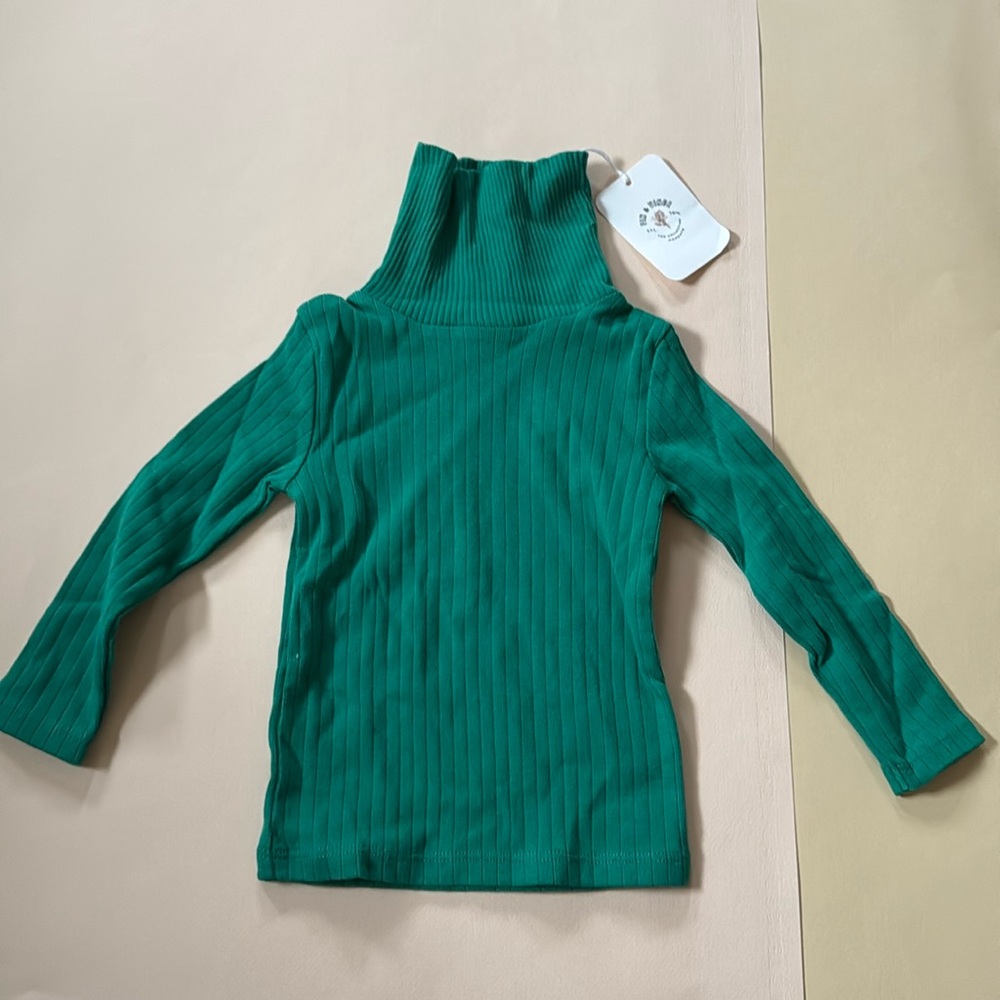 NWT Fin&Vince Turtleneck 12-18 jade